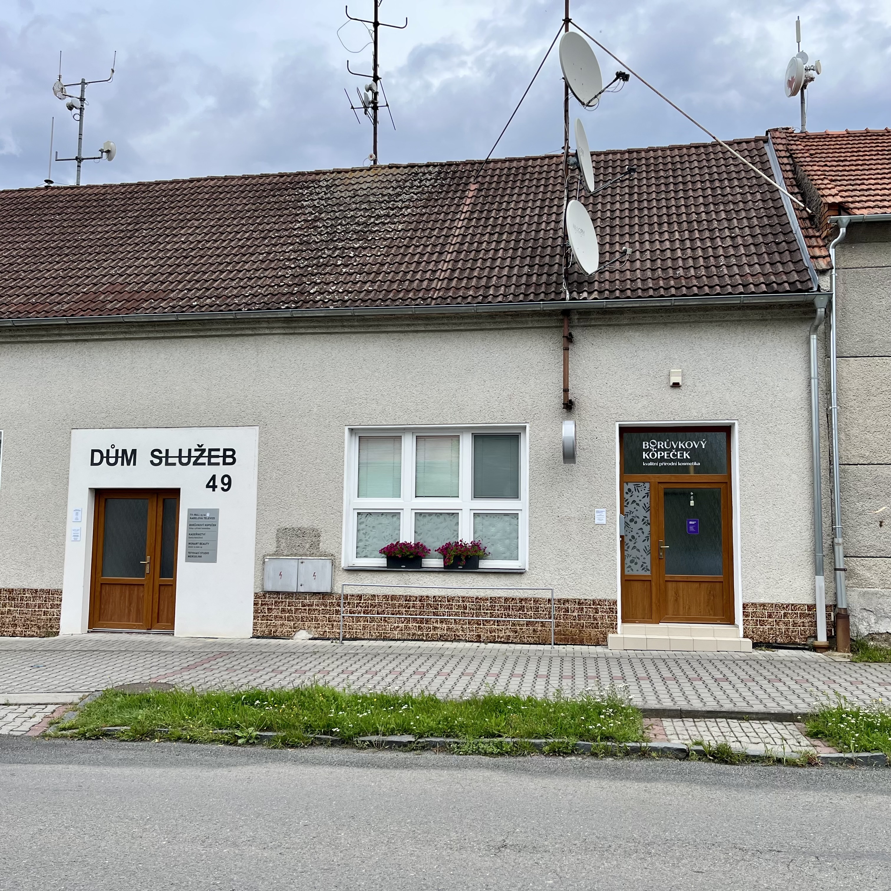 boruvkovy-kopecek-osobni-odber